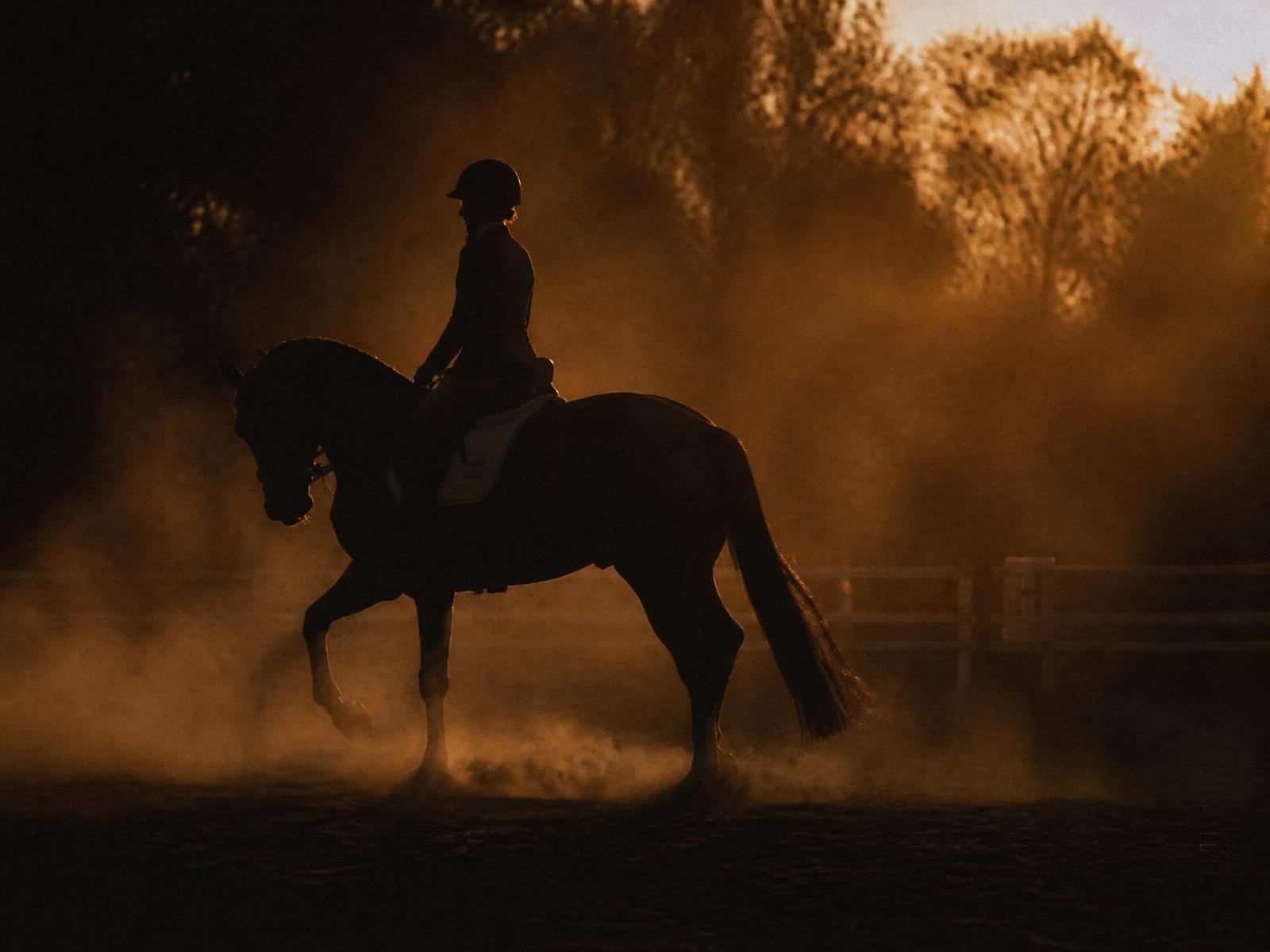 Silhouette of a horse and rider in a dusty arena at dusk